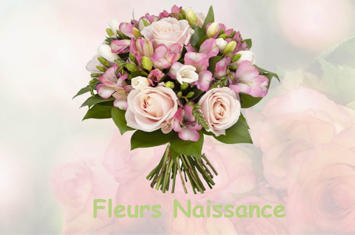 fleurs naissance SAINT-POURCAIN-SUR-SIOULE